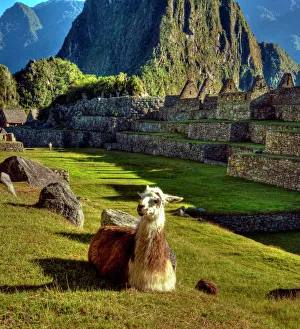 Majestic Prints: Peru, Andes, Andes