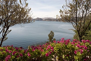 Titicaca Prints: Peru, Lake Titicaca. Suasi Island Lodge