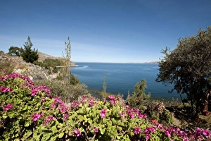 Peru, Lake Titicaca. Suasi Island Lodge