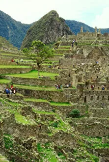 Images Dated 1st September 2006: Peru: Machu Picchu, Incan ruins