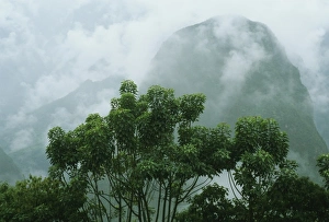 Urubamba Prints: Peru, Machu Picchu, rain over the sacred Urubamba valley