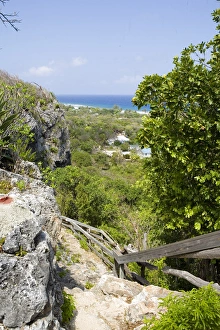 Images Dated 30th March 2006: Peters Cave entrance, Cayman Brac, Cayman Islands, Caribbean