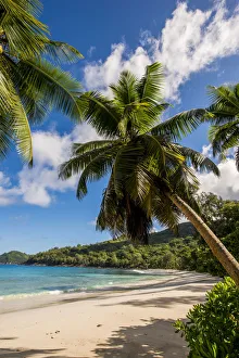 Shoreline Prints: Petit Police Bay Beach, Mahe, Republic of Seychelles, Indian Ocean