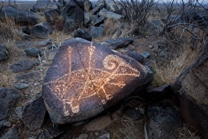 Images Dated 2nd December 2011: Petroglyph at the Three Rivers Petroglyph Site near Tularosa, New Mexico