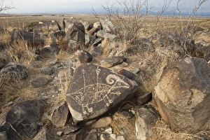 Lincoln County Prints: Petroglyph at the Three Rivers Petroglyph Site near Tularosa, New Mexico