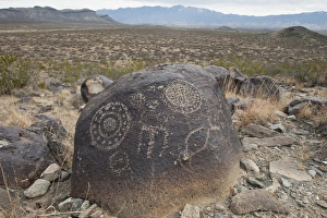 Images Dated 2nd December 2011: Petroglyph at the Three Rivers Petroglyph Site near Tularosa, New Mexico