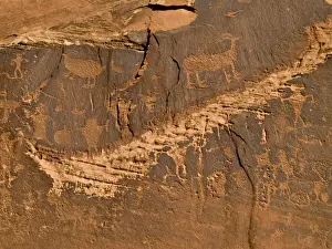 Communication Prints: Petroglyphs -- Native American rock art on cliffs along Colorado River near Moab, UT