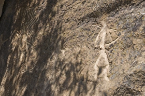 Images Dated 27th May 2010: Petroglyphs, Qobustan, UNESCO World Heritage Site, Azerbaijan