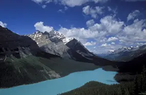 Elevation Prints: Peyto Lake with its water runoff from Peyto Glacier in Banff National Park, Canada