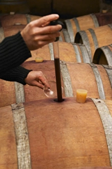Images Dated 15th October 2005: Philippe Viret taking a barrel sample of aging red wine. Domaine Viret, Saint Maurice sur Eygues