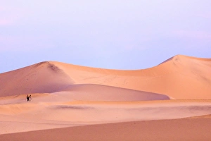 A photographer stands in sunrise light in the Mesquite Dunes, Death Valley National Park
