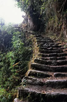 Phuyupatamarca to Winaywina, Peru. Inca mountain roadway / steps on the Inca Trail
