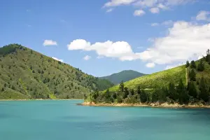 Gateway Prints: Picton, New Zealand. The gateway between North and South islands is the Cook Straight