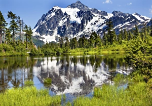 Images Dated 26th July 2014: Picture Lake Evergreens Mount Shuksan Mount Baker Highway Snow Mountain Trees Washington