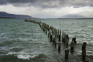 Punta Arenas Prints: Pier along the coast, Punta Arenas, Chile