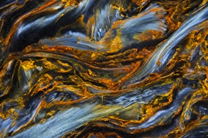 Images Dated 5th September 2012: Pietersite from Namibia