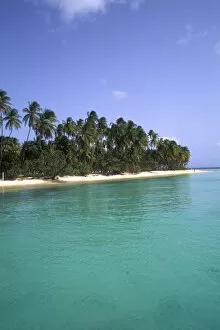 Images Dated 15th December 2004: Pigeon point palms and beautiful beach Tobago
