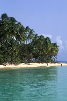 Pigeon point palms and beautiful beach Tobago