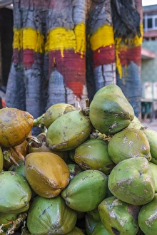 Images Dated 24th September 2005: Pile of coconuts, Bangalore, India