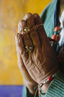 Pray Prints: Pilgrim praying in Phyang Gompa, Ladakh, India