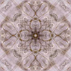 Abstract Gallery: Pink and brown kaleidoscope abstract