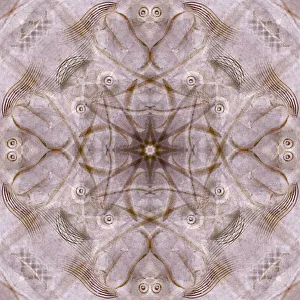 Abstract Collection: Pink and brown kaleidoscope abstract