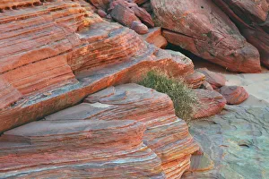 Images Dated 23rd March 2018: Pink Canyon, Valley of Fire State Park, Nevada, USA