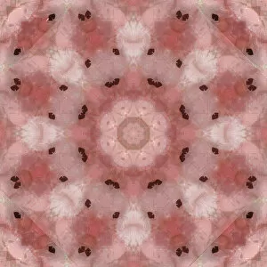 Abstract Collection: Pink and grey kaleidoscope abstract
