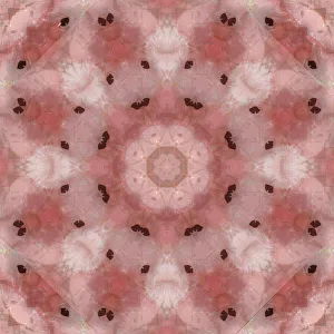 Abstract Collection: Pink and grey kaleidoscope abstract