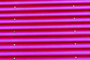 Corrugated Iron Prints: Pink Magenta Corrugated Lead, Metal abstract Patterns Background, Reykjavik, Iceland