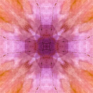 Abstract Prints: Pink and orange abstract