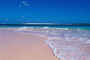 Cat Island Prints: Pink sand beach at Conch Bay, Cat Island, Bahamas