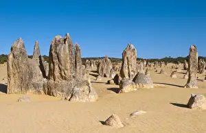 Images Dated 2029 February: The Pinnacles a famous rock formation in Nambung National Park in Western Australia