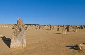 Images Dated 2029: The Pinnacles a famous rock formation in Nambung National Park in Western Australia