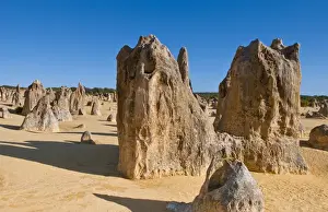 Images Dated 2029 February: The Pinnacles a famous rock formation in Nambung National Park in Western Australia