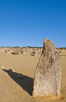 Images Dated 2029 February: The Pinnacles a famous rock formation in Nambung National Park in Western Australia