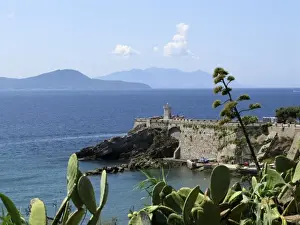 Shine Prints: Piombino, Tuscany coast in Summer time; Tyrrhenian sea. Agaves flower: each