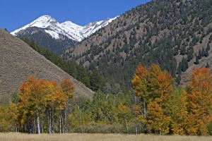 The Pioneer Mountains near Sun Valley, Idaho, USA