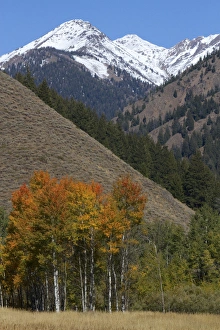 Blaine County Prints: The Pioneer Mountains near Sun Valley, Idaho, USA