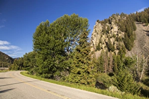 Empty Road Prints: The Pioneer Scenic Byway in the Beaverhead-Deer Lodge National Forest, Montana, USA