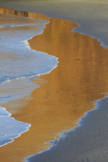Images Dated 20th April 2012: Pipikaretu Beach, (Penguin Place), Otago Peninsula, Dunedin, South Island, New Zealand