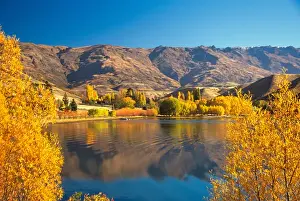 Poplar Prints: Pisa Range and Lowburn Inlet, Lake Dunstan near Cromwell, Central Otago