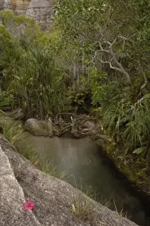 Images Dated 17th December 2005: Piscine Naturelle with Sandstone Massif of Isalo National Park in back MADAGASCAR