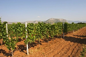 Images Dated 14th July 2006: Plain near Mostar with the mountain range in the background. Irrigation watering installation