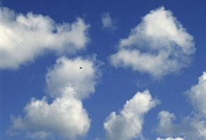 Fluffy Prints: Plane flying through cloud patterns, eastern Washington, USA