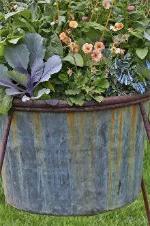 Chanticleer Prints: Planter, Chanticleer Garden, Wayne, Pennsylvania