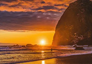 Images Dated 6th July 2021: Playing birds colorful sunset, Haystack Rock, Canon Beach, Clatsop County, Oregon