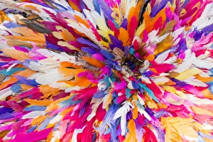 Décor Prints: A plethora of feathers at an African festival, New York City, New York, USA