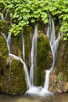 Recreation Prints: The Plitvice Lakes in the National Park Plitvicka Jezera in Croatia. The upper lakes