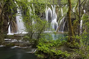 Images Dated 4th May 2010: The Plitvice Lakes in the National Park Plitvicka Jezera in Croatia. The upper lakes